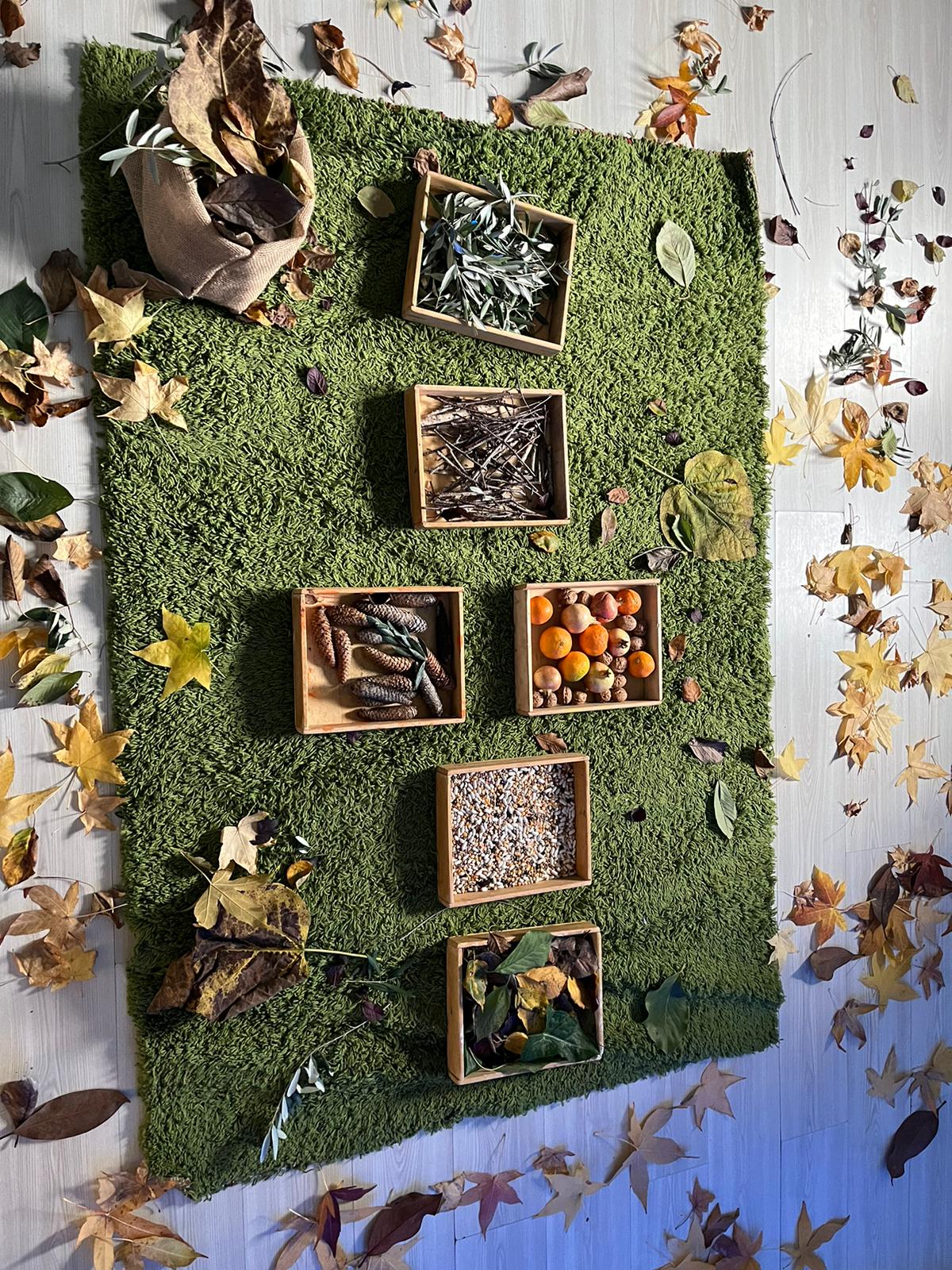 This image for Image Layouts addon