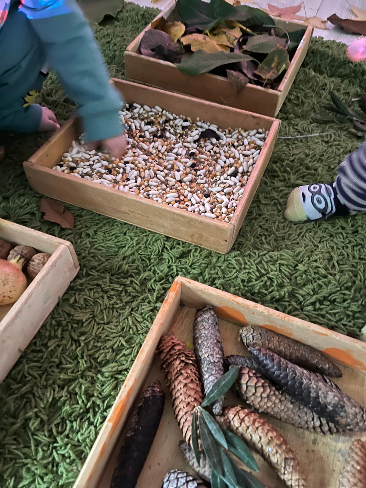 This image for Image Layouts addon